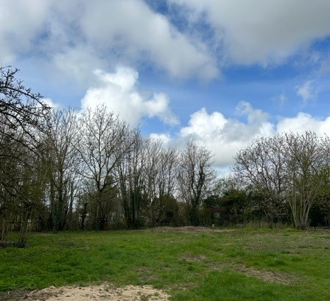 Terrain de 980m² à vendre à Charmont-sous-Barbuise (10)