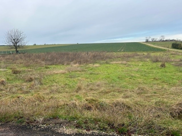 Terrain de 688m² à vendre à Luyères (10)
