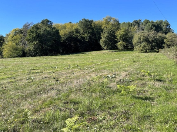 Terrain de 2 116m² à vendre à Villamblard (24)