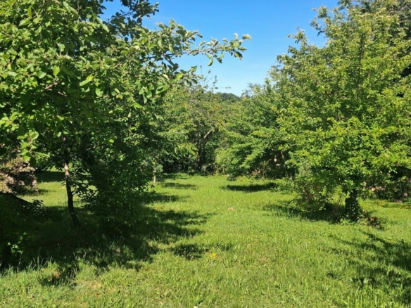 Terrain de 2 363m² à vendre à Ladignac-sur-Rondelles (19)