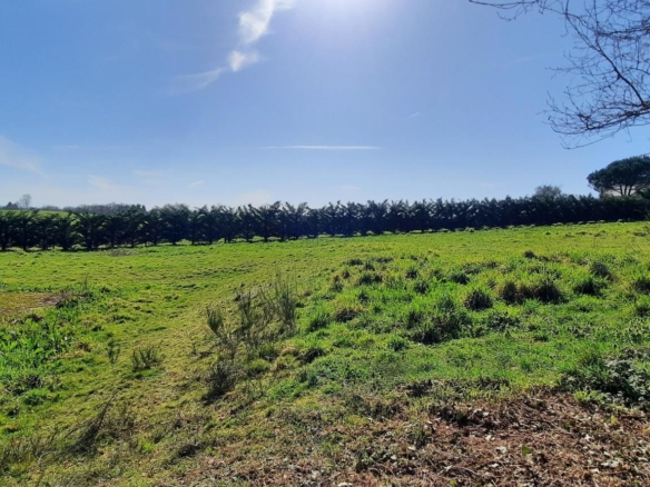 Terrain de 1 525m² à vendre à Chabrignac (19)