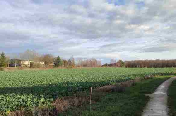 Terrain de 900m² à vendre à Saint-Aubin (10)