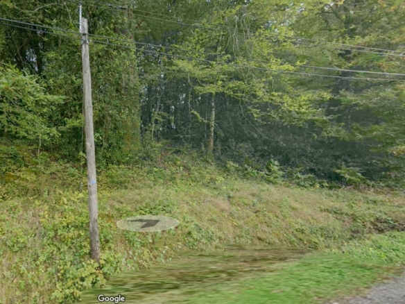 Terrain de 3 410m² à vendre à Ladignac-sur-Rondelles (19)