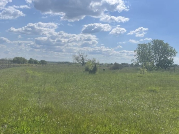 Terrain de 2 212m² à vendre à Jarnac-Champagne (17)