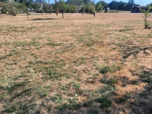 Terrain de 1 763m² à vendre à Argenton-sur-Creuse (36)