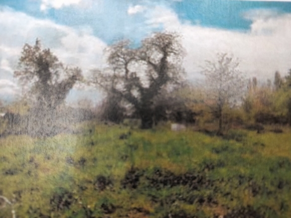 Terrain de 592m² à vendre à Rozay-en-Brie (77)