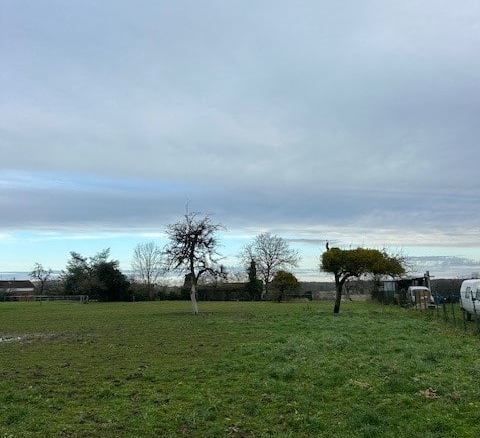 Terrain de 1 565m² à vendre à Piney (10)