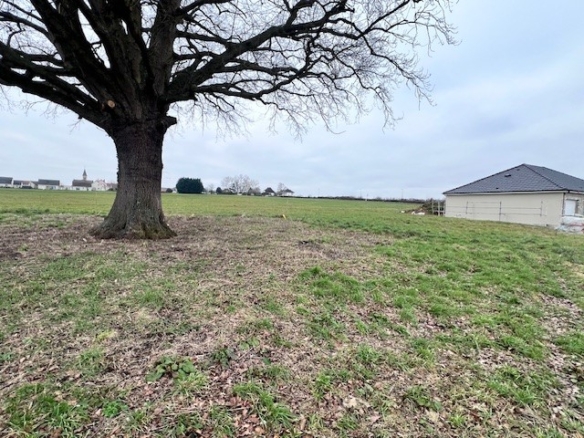 Terrain de 1 000m² à vendre à Challuy (58)