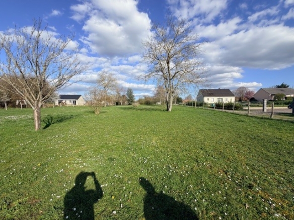 Terrain de 6 000m² à vendre à La Charité-sur-Loire (58)
