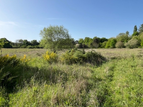 Terrain de 2 250m² à vendre à Carsac-Aillac (24)
