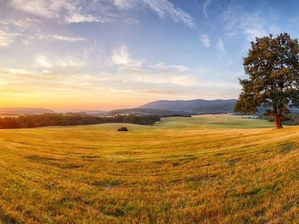 Terrain de 476m² à vendre à Dompierre-sur-Yon (85)