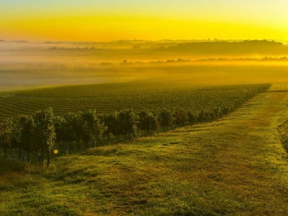 Terrain de 400m² à vendre à Vendrennes (85)