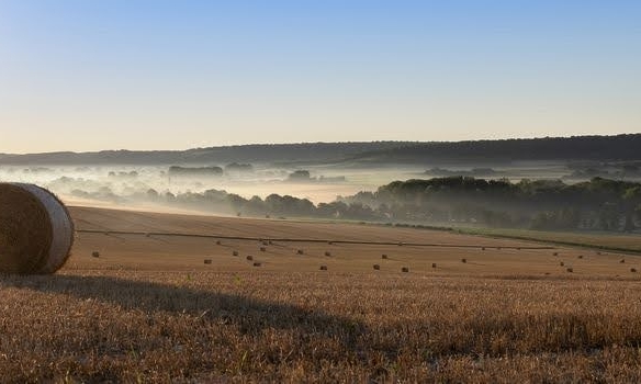 Terrain de 1 829m² à vendre à Hannogne-Saint-Martin (08)