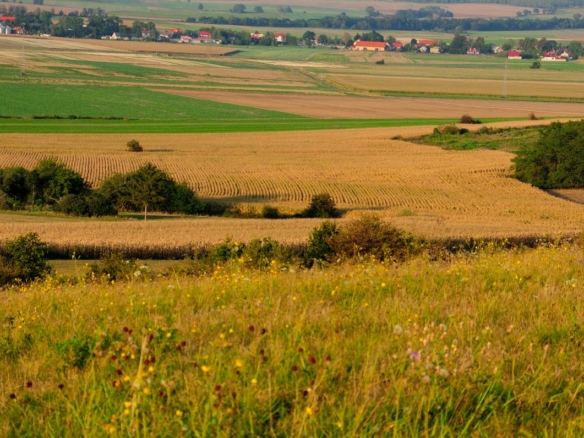 Terrain de 1 082m² à vendre à Alincourt (08)