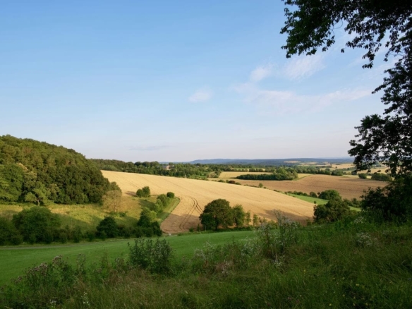 Terrain de 488m² à vendre à Le Poiré-sur-Vie (85)