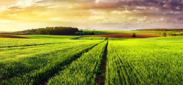 Terrain de 562m² à vendre à Bretignolles-sur-Mer (85)