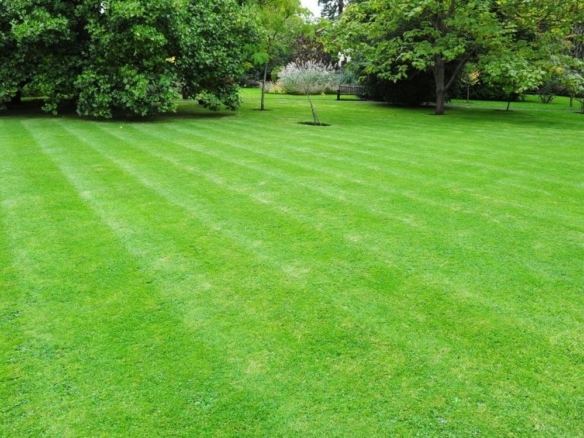 Terrain de 603m² à vendre à La Mothe-Achard (85)