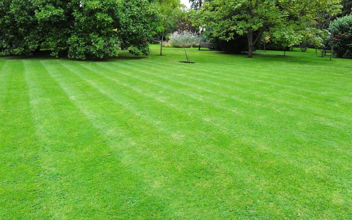 Terrain de 509m² à vendre à Sainte-Foy (85)