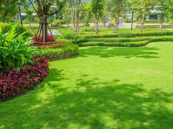 Terrain de 311m² à vendre à Longeville-sur-Mer (85)