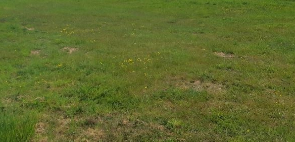 Terrain de 350m² à vendre à Arthon-en-Retz (44)