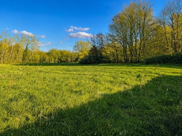 Terrain de 1 800m² à vendre à Douchapt (24)