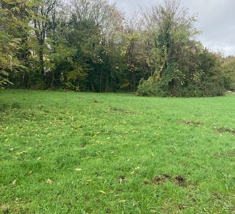 Terrain de 3 000m² à vendre à La Vendue-Mignot (10)
