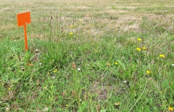 Terrain de 900m² à vendre à Saint-Brevin-les-Pins (44)