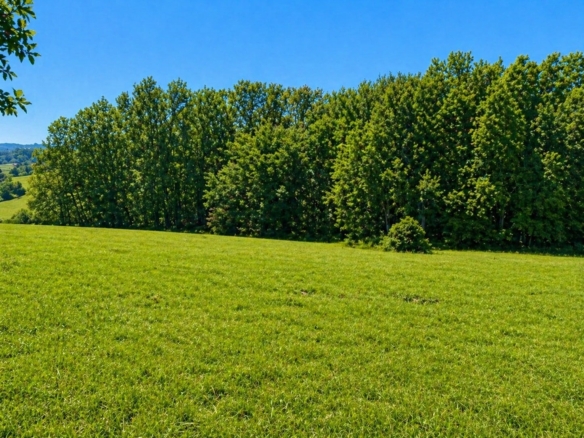 Terrain de 1 500m² à vendre à Notre-Dame-de-Sanilhac (24)