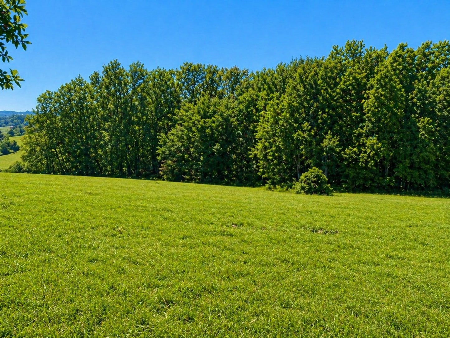 Terrain de 1 500m² à vendre à Notre-Dame-de-Sanilhac (24)