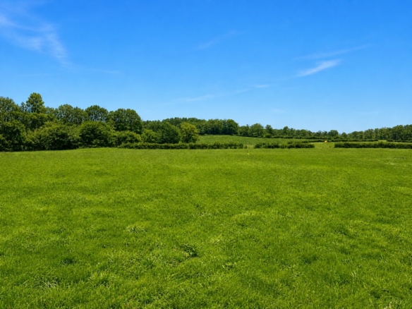 Terrain de 2 100m² à vendre à Nontron (24)
