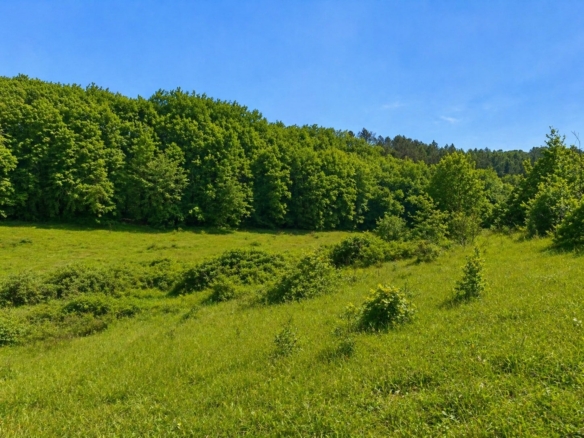 Terrain de 1 600m² à vendre à Trélissac (24)