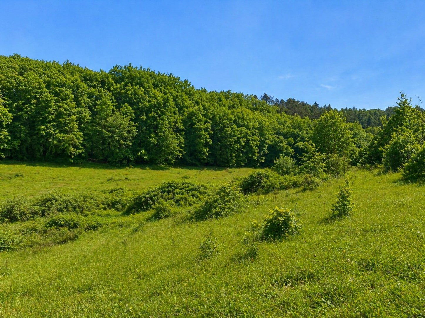 Terrain de 1 600m² à vendre à Trélissac (24)