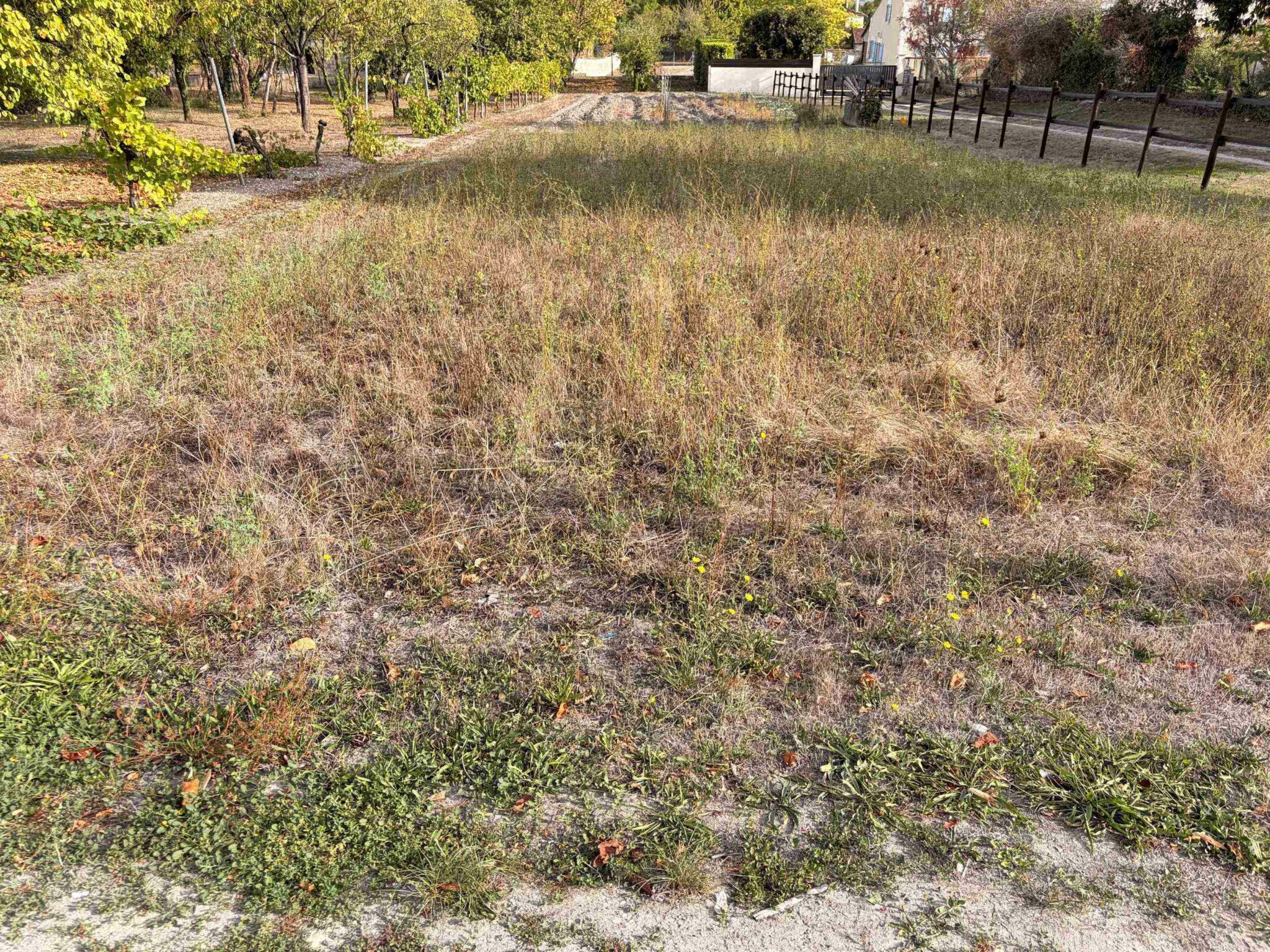 Terrain de 430m² à vendre à Genté (16)