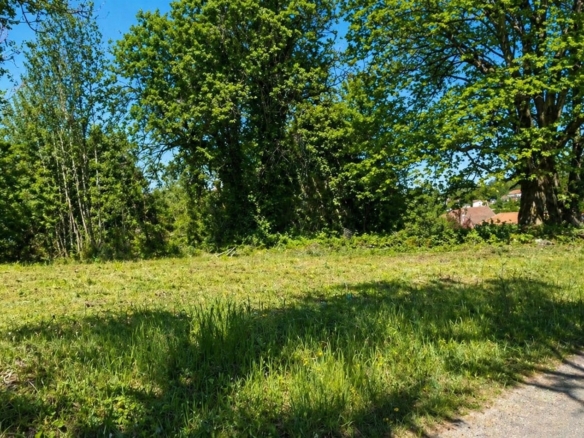 Terrain de 2 500m² à vendre à Nontron (24)
