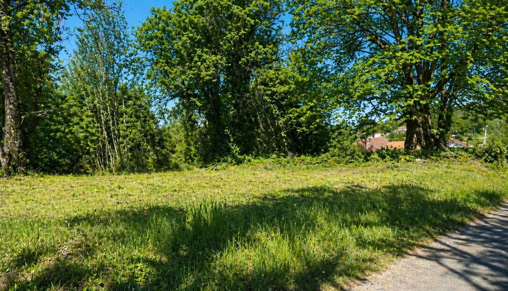 Terrain de 2 500m² à vendre à Nontron (24)