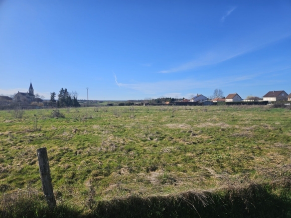 Terrain de 1 800m² à vendre à Saint-Didier-la-Forêt (03)
