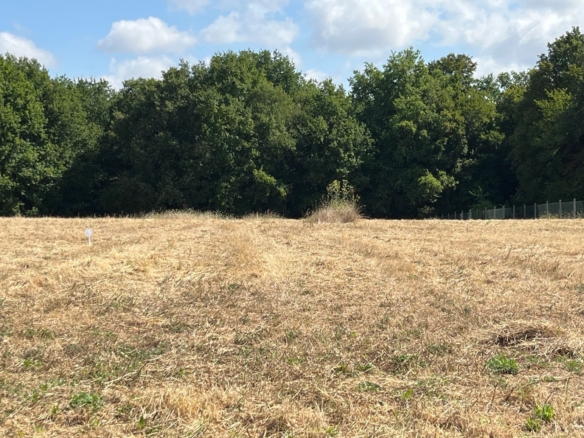 Terrain de 360m² à vendre à Saint-Césaire (17)