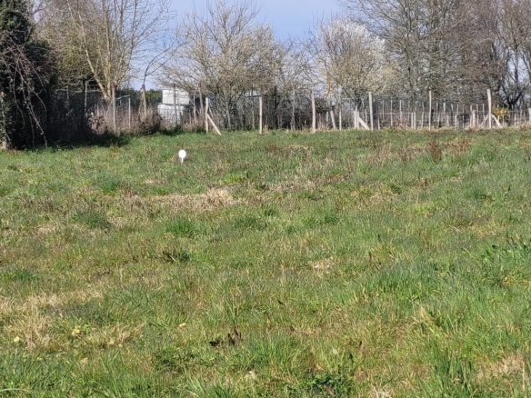 Terrain de 548m² à vendre à Saint-Césaire (17)
