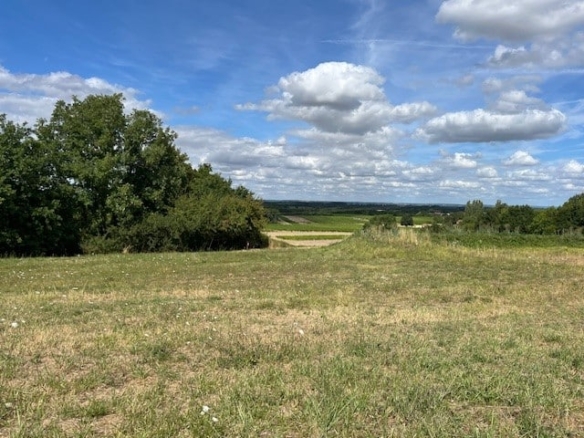 Terrain de 898m² à vendre à Burie (17)