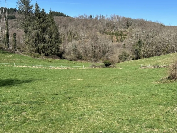 Terrain de 2 635m² à vendre à Corrèze (19)