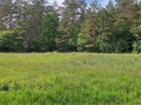 Terrain de 1 093m² à vendre à Bréville (16)
