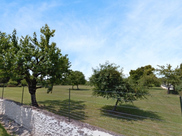 Terrain de 3 848m² à vendre à Gensac-la-Pallue (16)