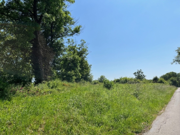 Terrain de 2 986m² à vendre à Saint-Cybardeaux (16)