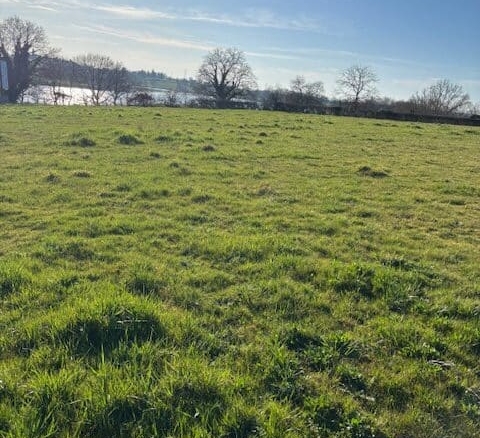 Terrain de 884m² à vendre à Saint-Eusèbe (71)
