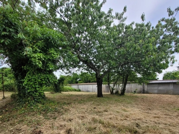 Terrain de 590m² à vendre à Cognac (16)