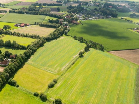 Terrain de 466m² à vendre à Belleville-sur-Vie (85)