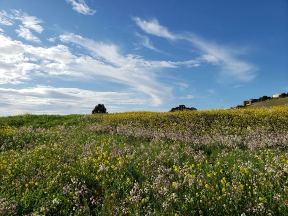 Terrain de 424m² à vendre à Mouilleron-le-Captif (85)