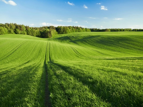 Terrain de 792m² à vendre à Dompierre-sur-Yon (85)