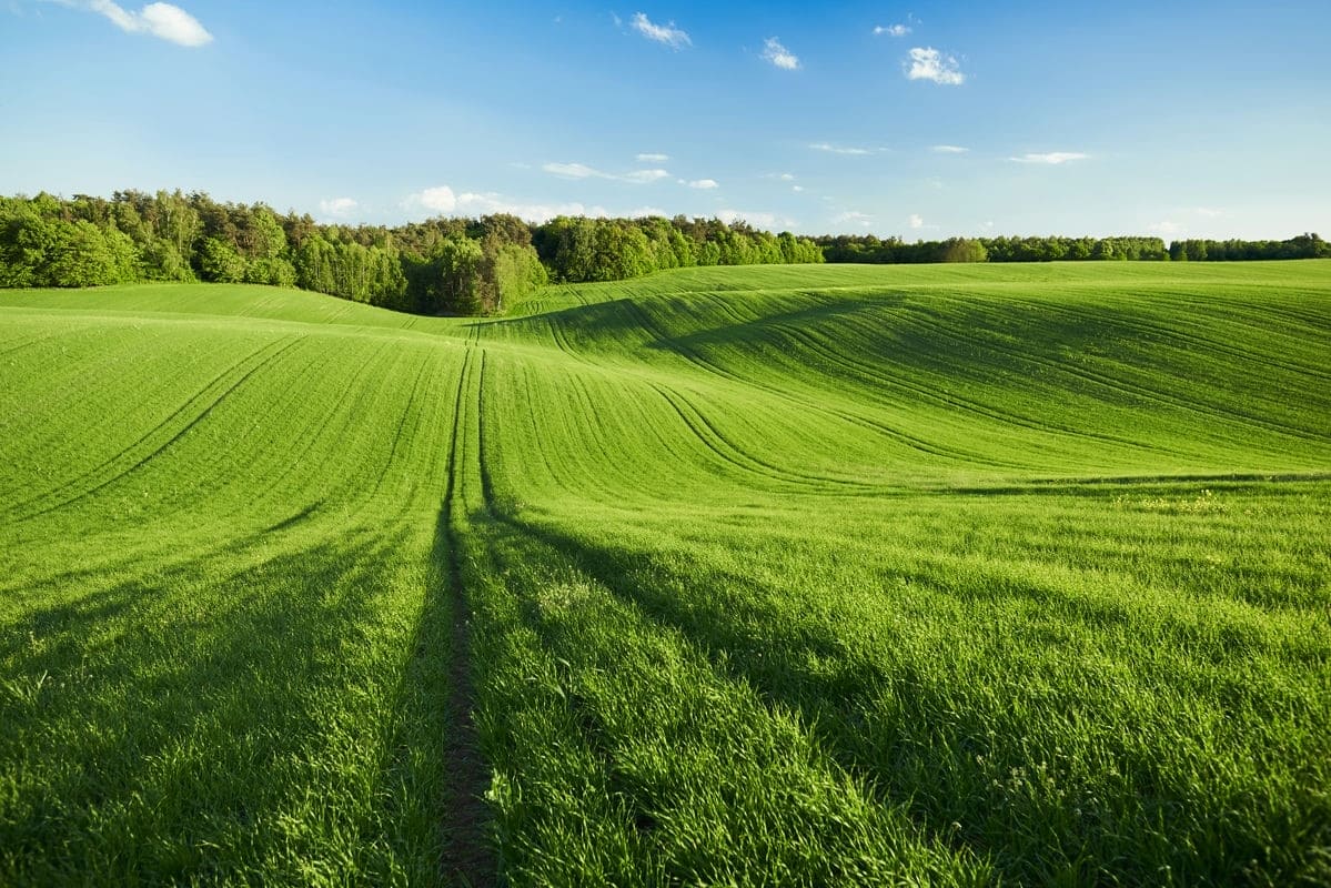 Terrain de 792m² à vendre à Dompierre-sur-Yon (85)