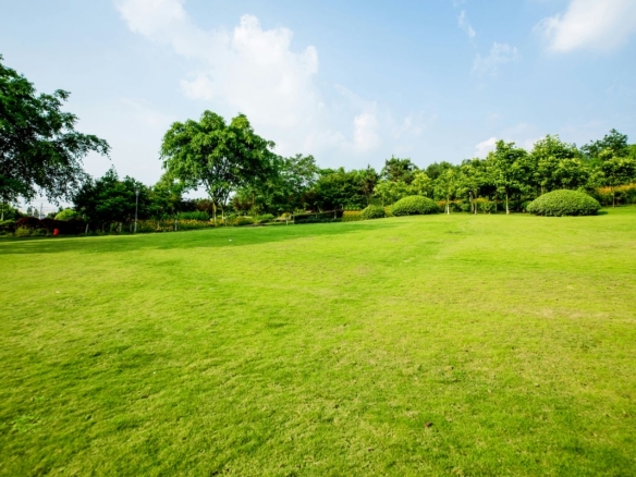 Terrain de 1 237m² à vendre à Écot (25)